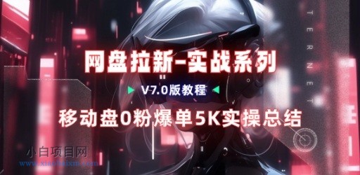 【匠心小白】移动云盘项目，我们自己实操爆单一周4000与经验总结-小白项目分享网