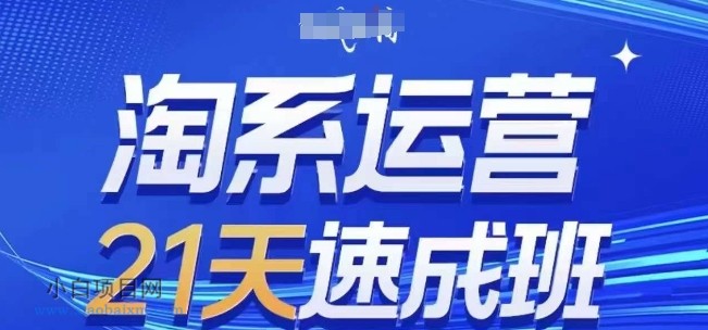 【匠心小白】淘系运营21天速成班(更新25年11月)，0基础轻松搞定淘系运营，不做假把式-小白项目分享网