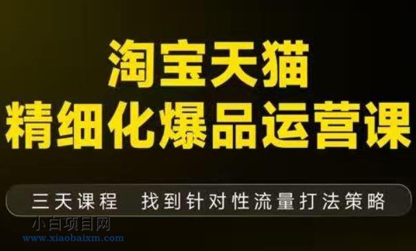 【匠心小白】淘宝天猫精细化爆品运营(9月12-14杭州线下课),全方位拆解爆品打造逻辑【音频+字幕+文档】
