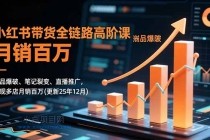 小红书带货全链路高阶课，选品爆破、笔记裂变、直播推广，实现多店月销百万(更新25年12月)-小白项目分享网