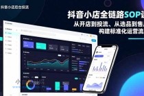 抖音小店全链路SOP课，从开店到投流、从选品到售后，构建标准化运营流程-小白项目分享网