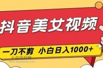 抖音美女视频，一刀不剪，两分钟一条视频，小白轻松上手，日入1000-小白项目分享网