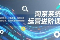淘系系统运营进阶课2.0，流程规范、工具教学、实战诊断，进阶突破，打造高盈利店铺模型-小白项目分享网