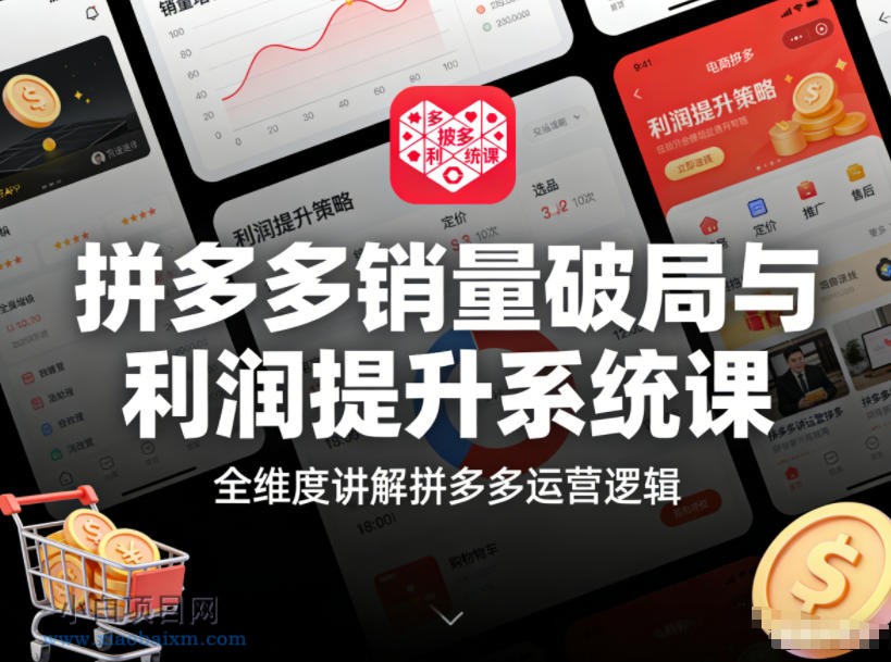 【匠心小白】拼多多销量破局与利润提升系统课，全维度讲解拼多多运营逻辑-小白项目分享网