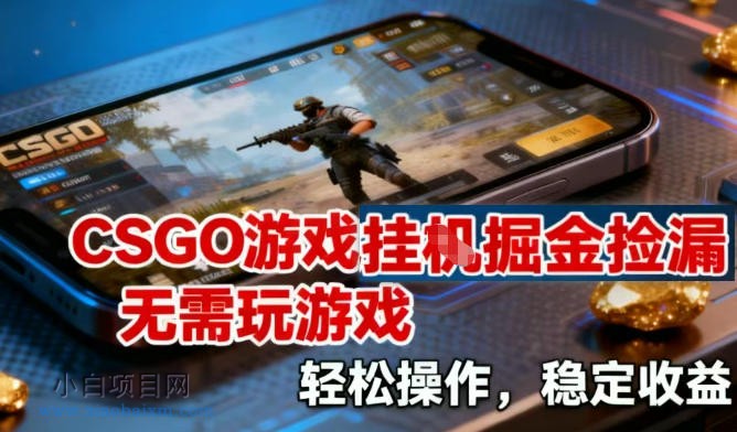 【匠心小白】CSGO游戏挂G掘金捡漏，不需要玩游戏，操作简单，收益稳定【揭秘】-小白项目分享网