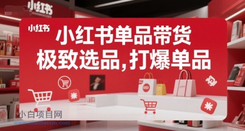【匠心小白】小红书单品带货，极致选品，打爆单品（更新）-小白项目分享网