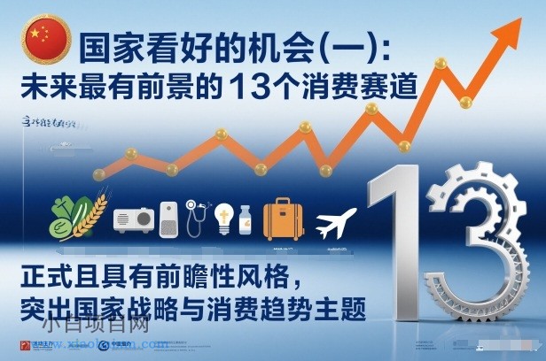 【匠心小白】付费文章：国家看好的机会(一):未来最有前景的13个消费赛道-小白项目分享网