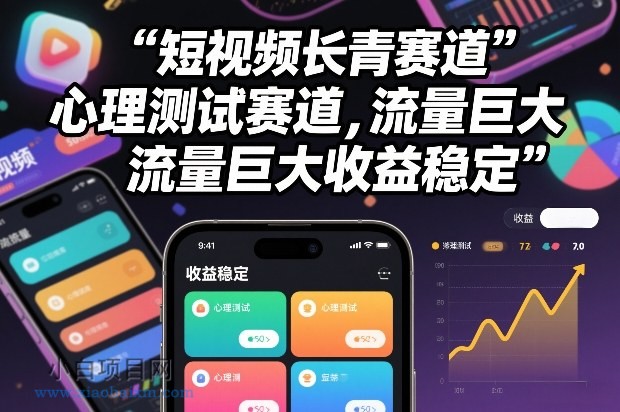 【匠心小白】短视频长青赛道，心里测试赛道，流量巨大，收益稳定-小白项目分享网