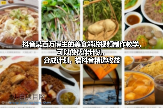 【匠心小白】抖音某百万博主的美食解说视频制作教学，可以做伙伴计划，分成计划，撸抖音精选收益-小白项目分享网