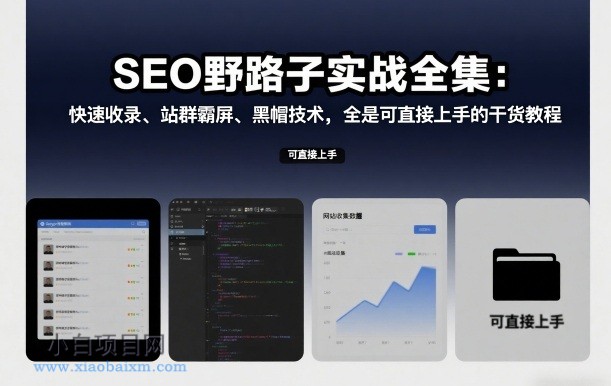 【匠心小白】SEO野路子实战全集:快速收录、站群霸屏、黑帽技术,全是可直接上手的干货教程