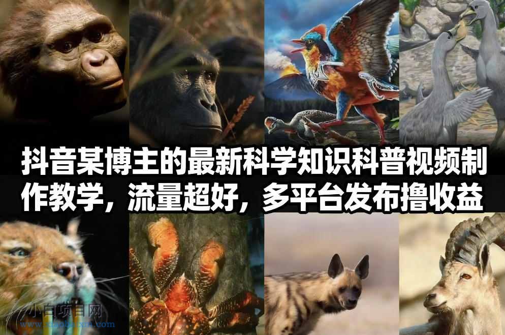 【匠心小白】抖音60W粉丝博主最新科学知识科普视频制作教学,流量超好,多平台发布撸收益