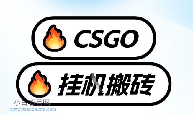 【匠心小白】真全网独家CSGO挂G，最新玩法,单日捡漏1K+，不用电脑，不用打游戏【揭秘】-小白项目分享网