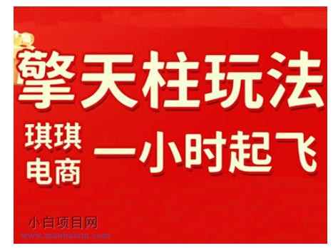 【匠心小白】拼多多擎天柱玩法，从起链接逻辑、直通车考核、裂变商品等实操维度，教你快速起店且稳定获流（更新2026）-小白项目分享网