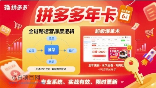 【匠心小白】拼多多年卡，拼多多全链路运营底层逻辑，超级爆单术【更新26年1月】-小白项目分享网