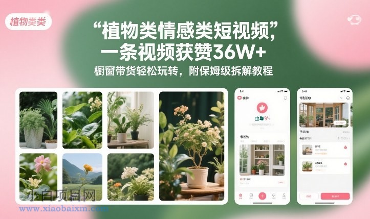 【匠心小白】植物类情感类短视频，一条视频获赞36W+，橱窗带货轻松玩转，附保姆级拆解教程-小白项目分享网
