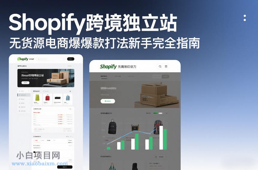 【匠心小白】Shopify跨境独立站无货源电商爆款打法新手完全指南-小白项目分享网