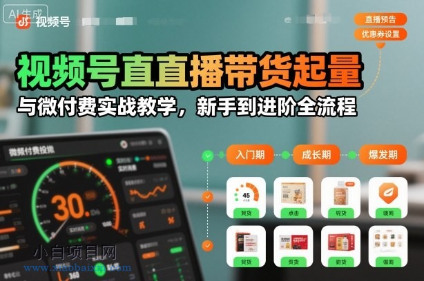 【匠心小白】视频号直播带货起量与微付费实战教学,新手到进阶全流程(更新)