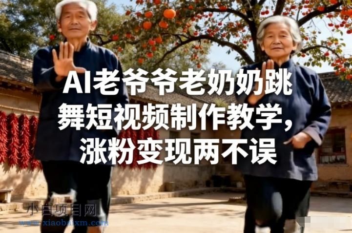 【匠心小白】AI老爷爷老奶奶跳舞短视频制作教学，涨粉变现两不误-小白项目分享网