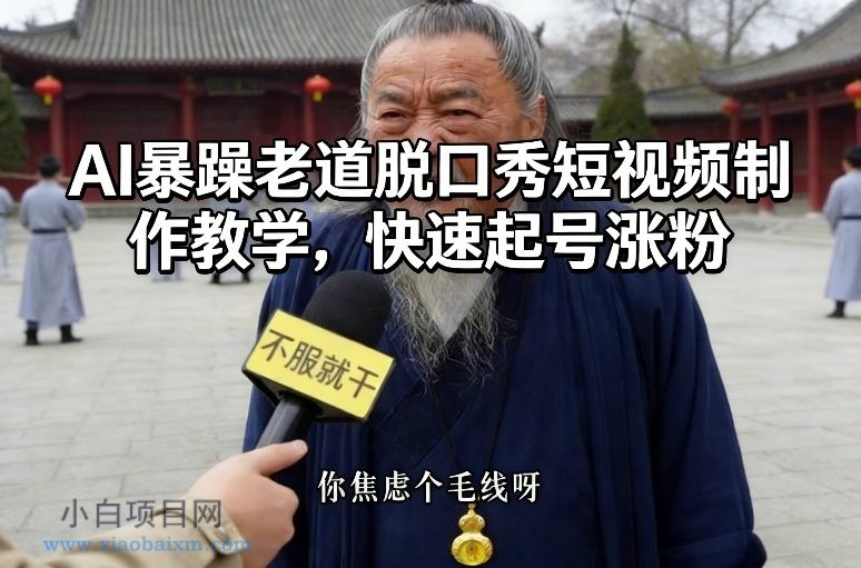 【匠心小白】AI暴躁老道脱口秀短视频制作教学，快速起号涨粉-小白项目分享网