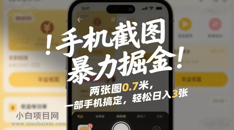 【匠心小白】手机截图暴力掘金！两张图0.7米，一部手机搞定，轻松日入3张【揭秘】-小白项目分享网