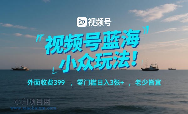 【匠心小白】视频号蓝海小众玩法!外面收费399,零门槛日入3张+,老少皆宜