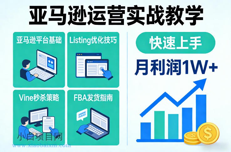 【匠心小白】亚马逊运营实战教学,亚马逊平台+Listing优化+Vine秒杀+FBA发货等,快速上手,实现店铺月利润1W