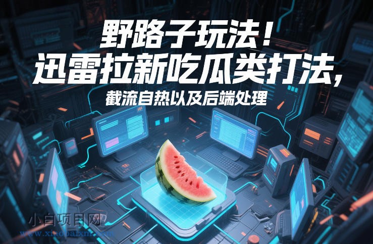 【匠心小白】野路子玩法!迅雷拉新吃瓜类打法,截流自热以及后端处理