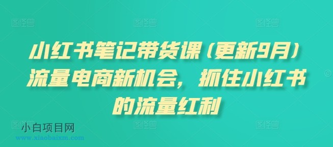 【匠心小白】小红书笔记带货课，流量电商新机会，抓住小红书的流量红利(更新26年2月)-小白项目分享网