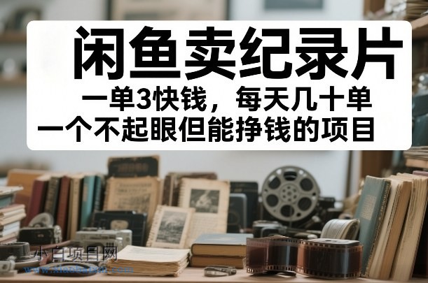 【匠心小白】闲鱼卖纪录片，一单3快钱，每天几十单，一个不起眼但能挣钱的项目【揭秘】-小白项目分享网