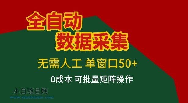 【匠心小白】全自动数据采集项目,无需人工,单窗口可达50+收益,操作简单无难度,一个人也能轻松实现矩阵【揭秘】