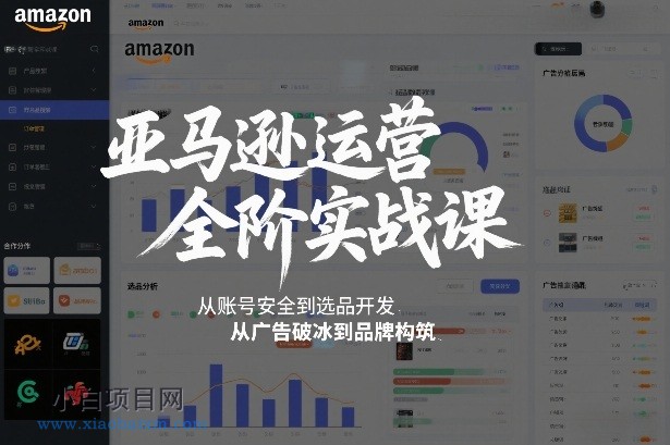 【匠心小白】亚马逊运营全阶实战课，从账号安全到选品开发，从广告破冰到品牌构筑（更新2026年2月）-小白项目分享网