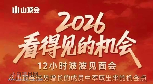 【匠心小白】2026看得见的机会，剖析十几个实战案例，可直接抄作业，再优化迭代，内容超全，干货满满-小白项目分享网