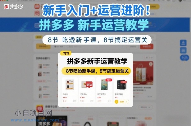 【匠心小白】新手入门+运营进阶！拼多多新手运营教学，8节吃透新手课，8节搞定运营关-小白项目分享网