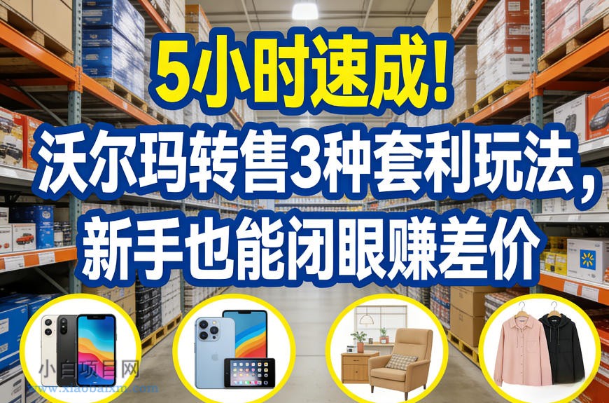 【匠心小白】5小时速成！沃尔玛转售3种套利玩法，新手也能闭眼賺差价-小白项目分享网
