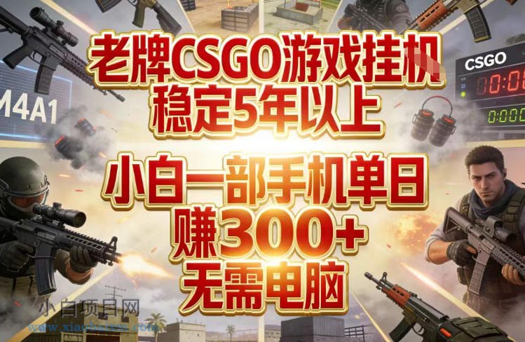 【匠心小白】老牌CSGO游戏挂G，稳定5年以上，小白一部手机单日賺3张+，无需电脑【揭秘】-小白项目分享网