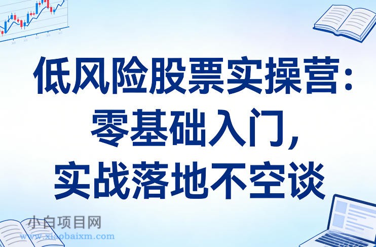 【匠心小白】低风险股票实操营：零基础入门，实战落地不空谈-小白项目分享网