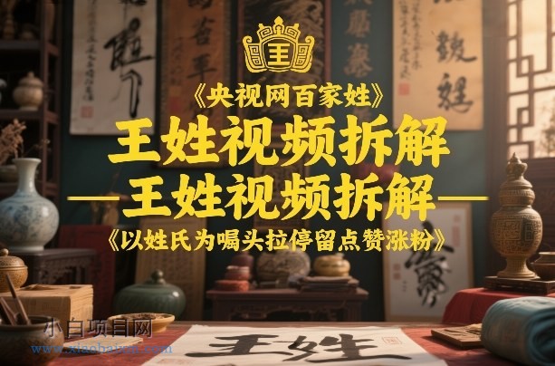 【匠心小白】央视网百家姓–王姓视频拆解，以姓氏为噱头拉停留点赞涨粉-小白项目分享网