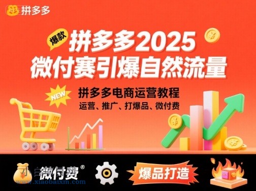 【匠心小白】拼多多微付费引爆自然流量,拼多多电商运营教程,运营、推广、打爆品、微付费(更新26年2月)