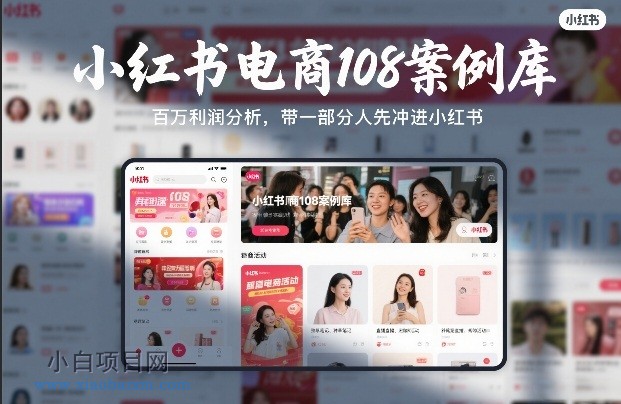 【匠心小白】小红书电商108案例库，百W利润分析，带一部分人先冲进小红书【文档】-小白项目分享网