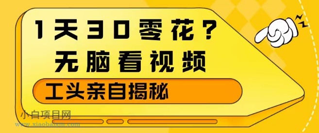 【匠心小白】1天30零花?无脑看视频,大佬亲自揭秘