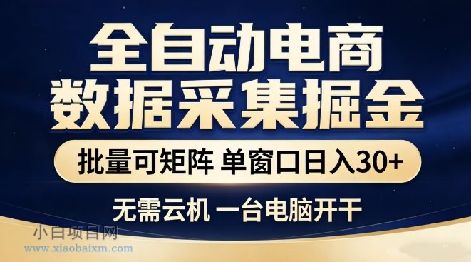 【匠心小白】全自动电商数据集掘金，批量可矩阵，单窗口日入30+，无需云机，一台电脑开干【揭秘】-小白项目分享网
