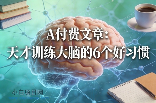 【匠心小白】付费文章：天才训练大脑的6个好习惯-小白项目分享网