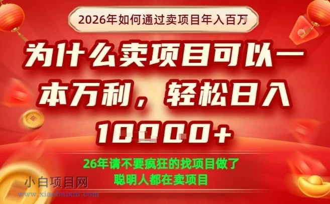 【匠心小白】一单净利润1K+,26年想年入100个W,死磕卖项目就够了【揭秘】