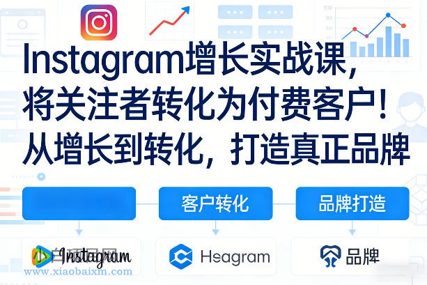 【匠心小白】Instagram增长实战课，将关注者转化为付费客户！从增长到转化，打造真正品牌（双语字幕）-小白项目分享网