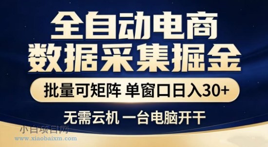 【匠心小白】独家电商数据全自动采集项目,批量可矩阵,单窗口轻松日入3张+【揭秘】