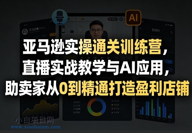 【匠心小白】亚马逊实操通关训练营,直播实战教学与AI应用,助卖家从0到精通打造盈利店铺(更新3月23日)