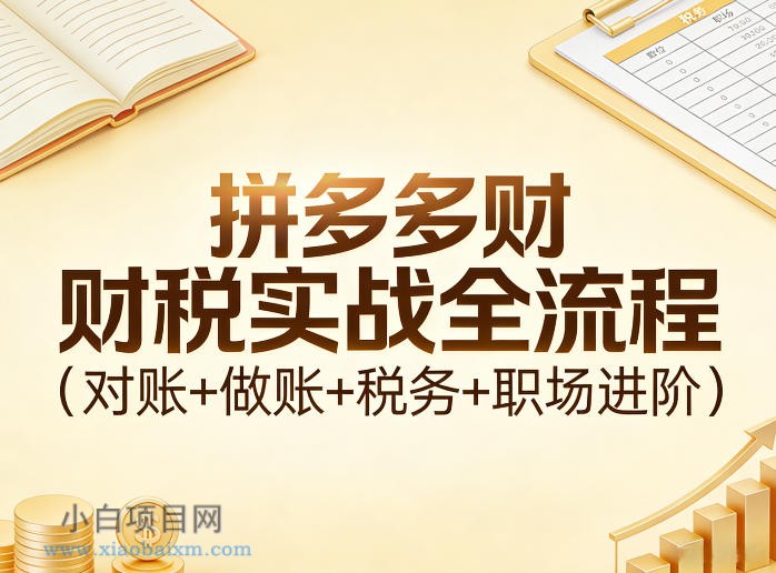 【匠心小白】拼多多财税实战全流程(对账+做账+税务+职场进阶)