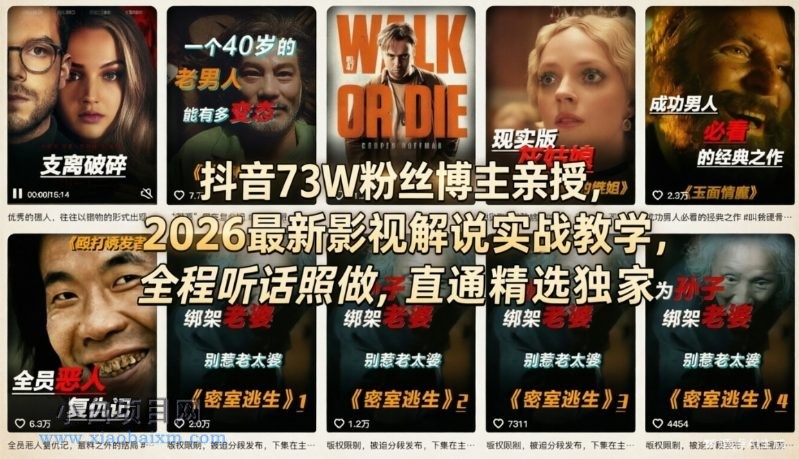 【匠心小白】抖音73W粉丝博主亲授,2026最新影视解说实战教学,全程听话照做,直通精选独家