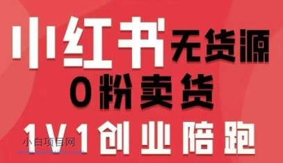 【匠心小白】小红书无货源0粉电商课，开店准备、选品策略、笔记撰写、视频剪辑、数据分析、账号打造、资料文档（更新26年3月）-小白项目分享网