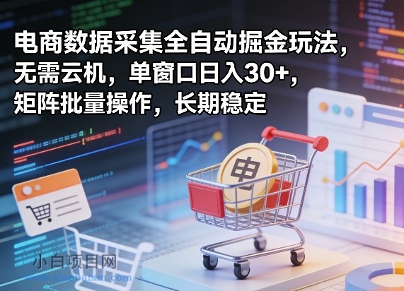 【匠心小白】独家电商数据采集全自动掘金玩法，无需云机，单窗口日入30+，矩阵批量操作，长期稳定【揭秘】-小白项目分享网